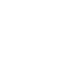 Play Icon